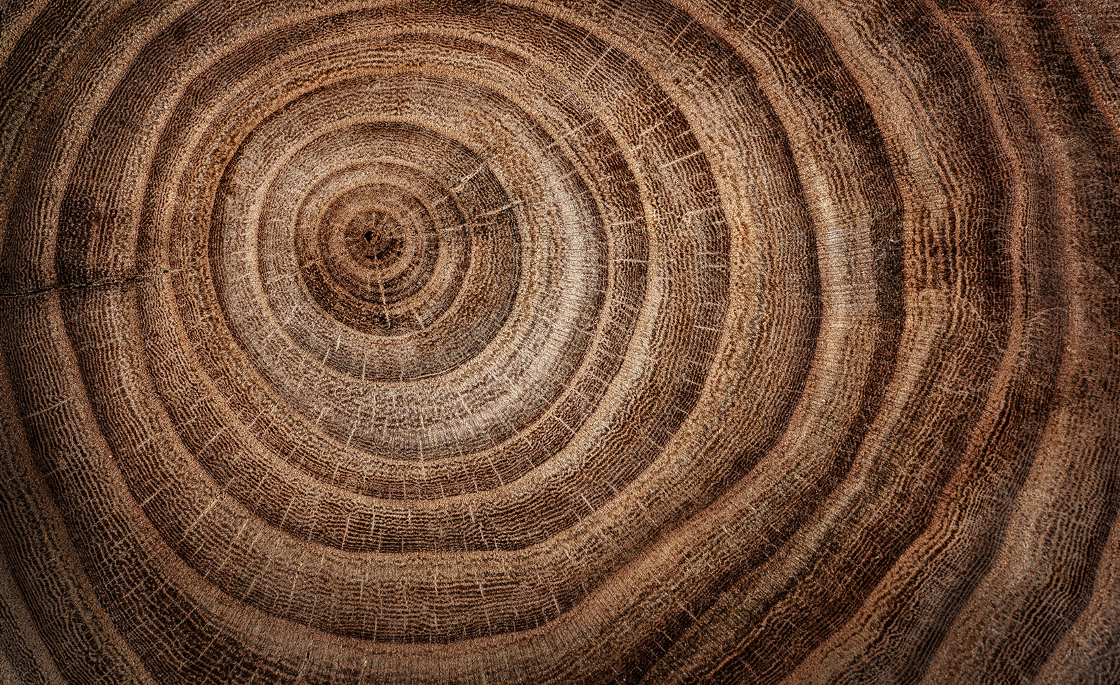 mesa-fbc-tree-rings